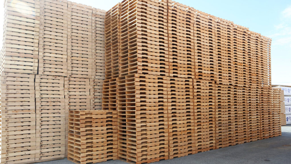 Sustainability Commitment